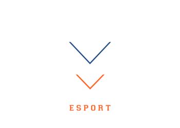 [Valk-E] Logoblanc